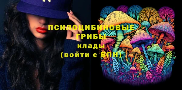 дживик Беломорск