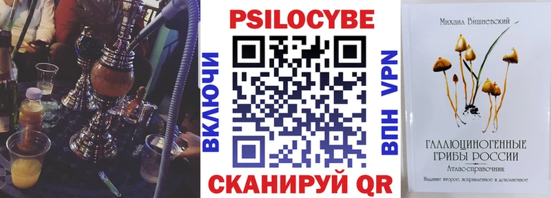 Псилоцибиновые грибы Psilocybine cubensis  Кондопога 